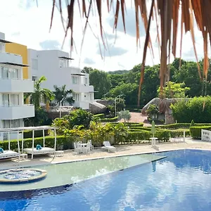 Santo Manglar Life Wellness Colombia